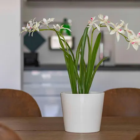 Appartement Bright House - Carozzi