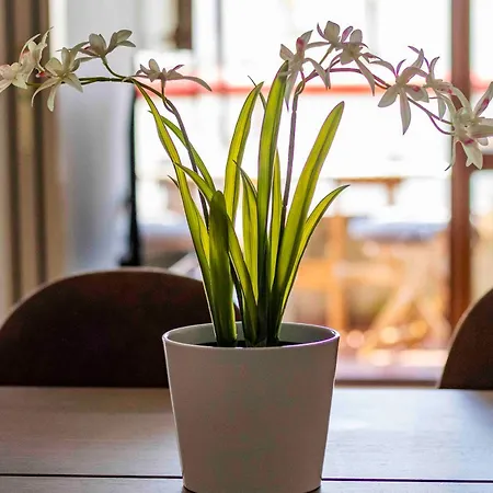Appartement Bright House - Carozzi *